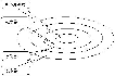 企業(yè)文化結(jié)構(gòu)“雷達(dá)”模型